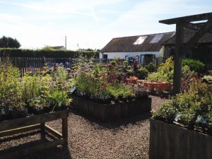 Macplants Nursery